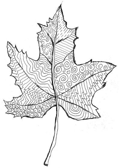 Шаблон кленовый лист, интересные рисунки шаблоны кленовый лист 10