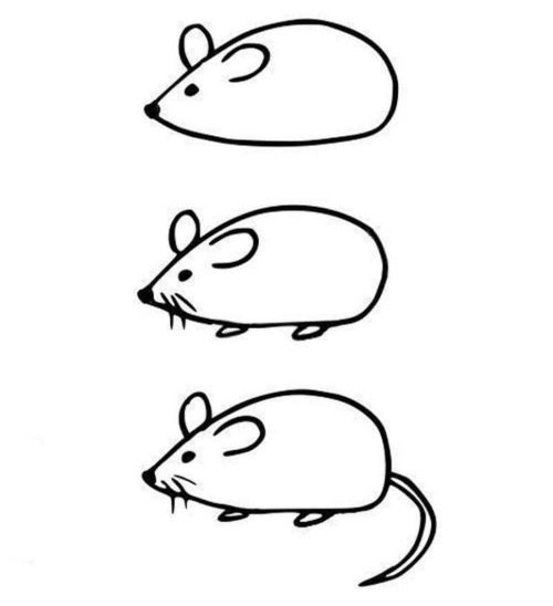 Как нарисовать мышь. Поэтапное рисование мыши. Мышь поэтапное рисование для детей. Поэтапное рисование мышки для дошкольников. Схема рисования мышки для детей.