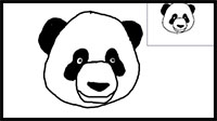 how to draw a panda bear