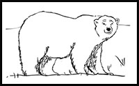 how to draw a polar bear