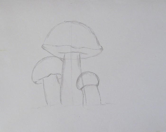 mushrooms 05