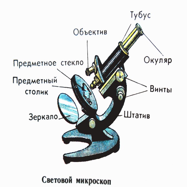 Картинка строение микроскопа