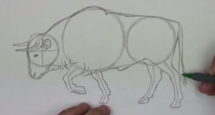 Инструкция по поэтапному рисованию быка на Новый 2021 год