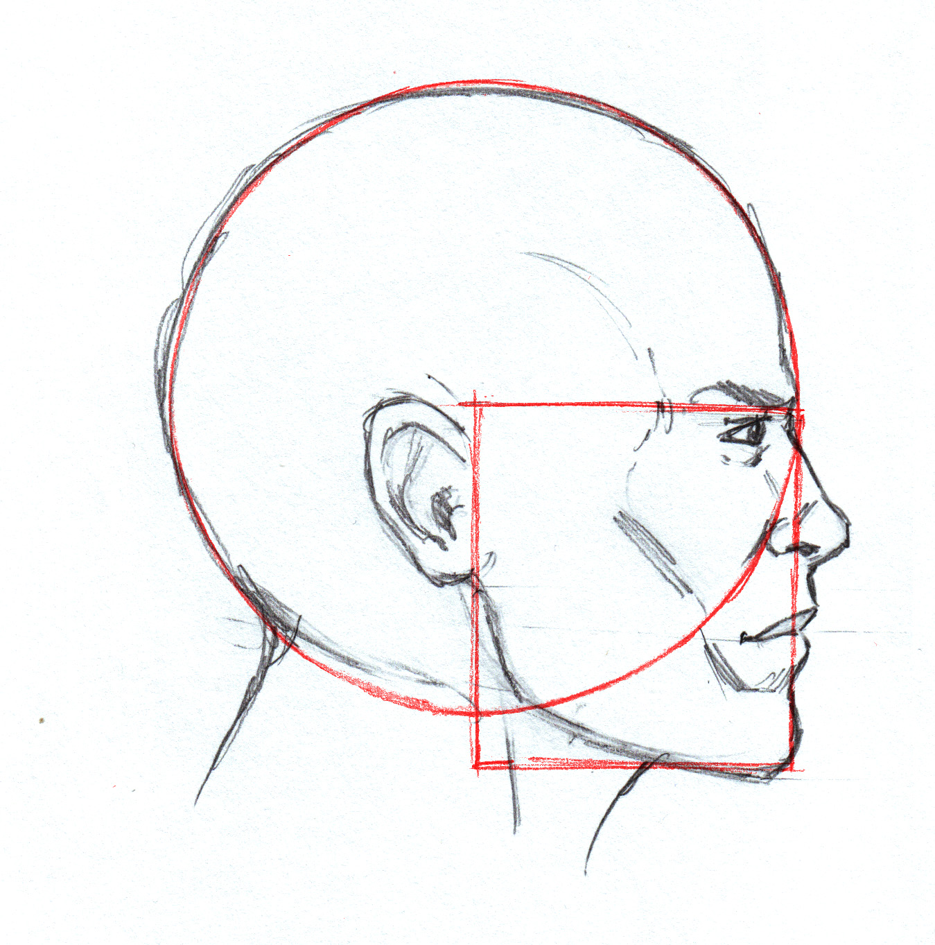 Профиль поэтапно. Как рисовать портрет сбоку. Голова человека в профиль. Портрет человека в профиль. Голова в профиль рисунок.