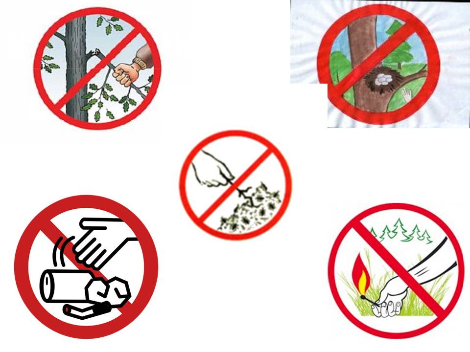 Что нельзя делать вечером. Запрещающие знаки в лесу. Запрещающие знаки в Леву. Экологические знаки. Запретные знаки в природе.