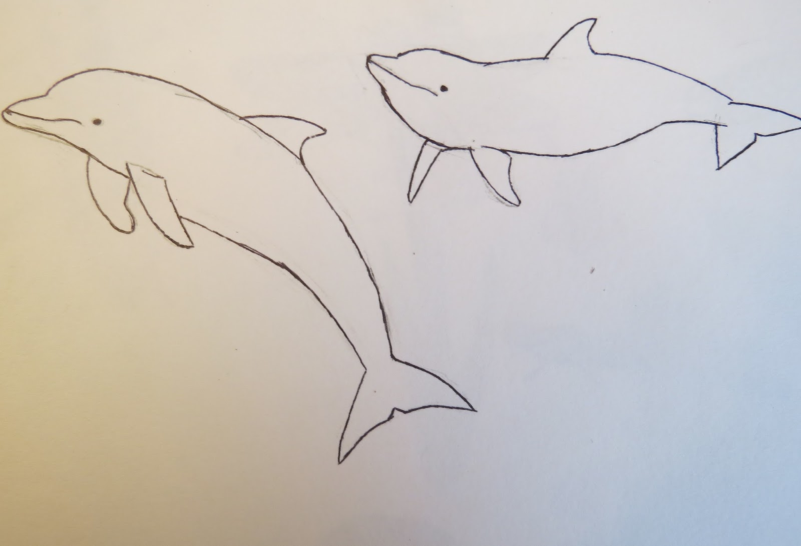 Дельфин фото рисунок