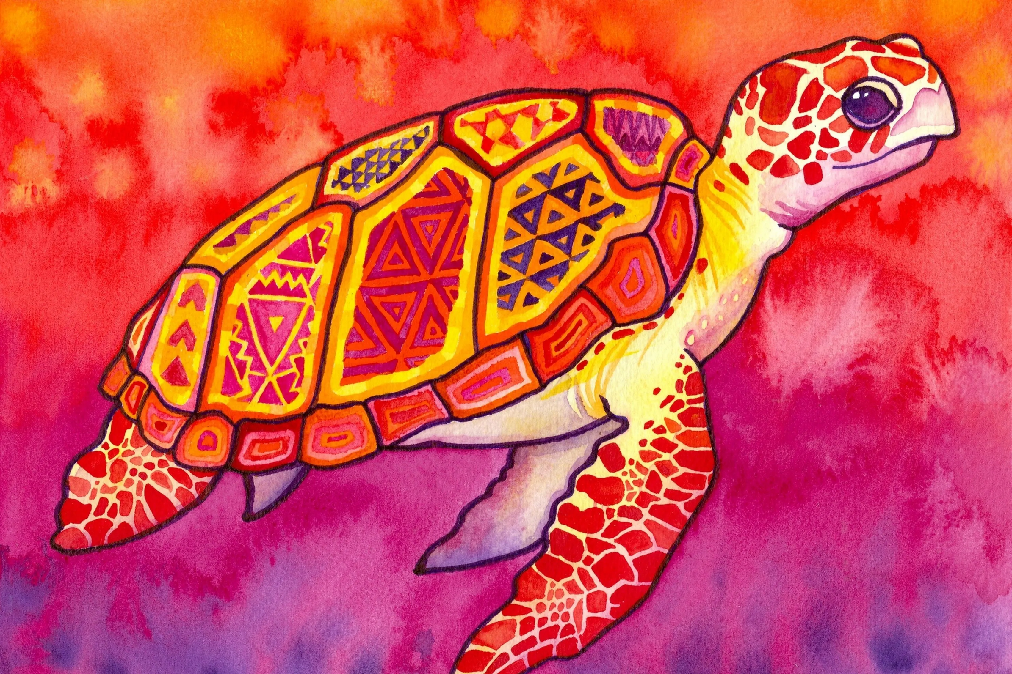 Home decoration watercolor paintings turtle patterns sea colorful abstract Silk Fabric Poster Print DW12