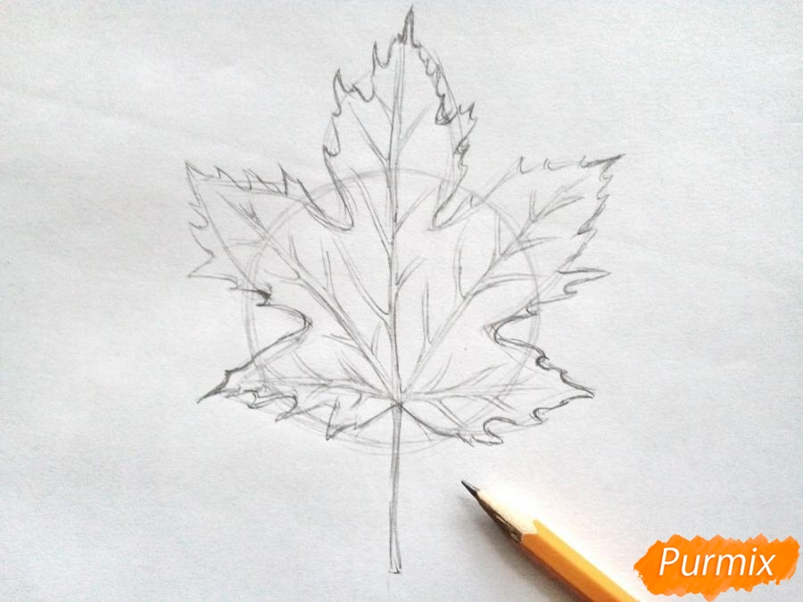 Рисуем кленовый лист черной ручкой - шаг 3