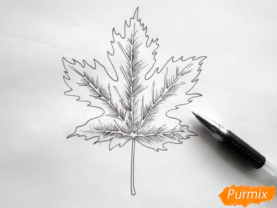 Рисуем кленовый лист черной ручкой - шаг 5