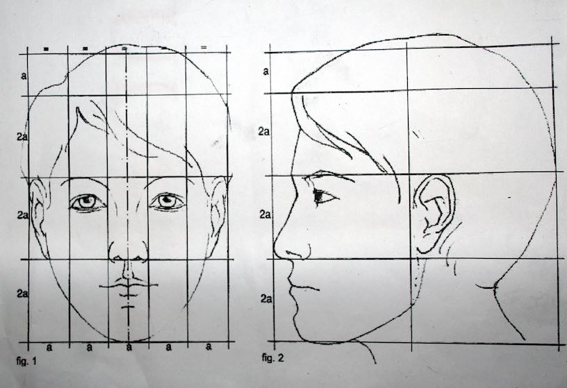пропорции лица человека для рисования