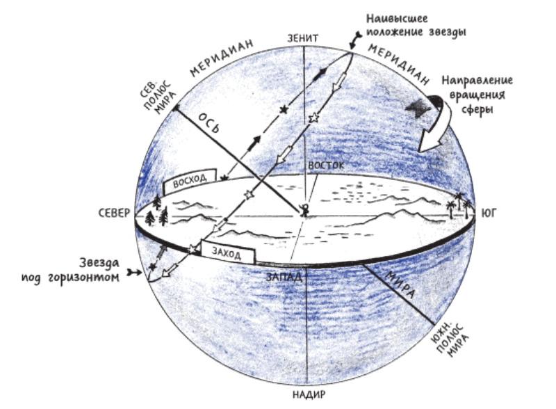 Полярная звезда находится в направлении Северного полюса мира.