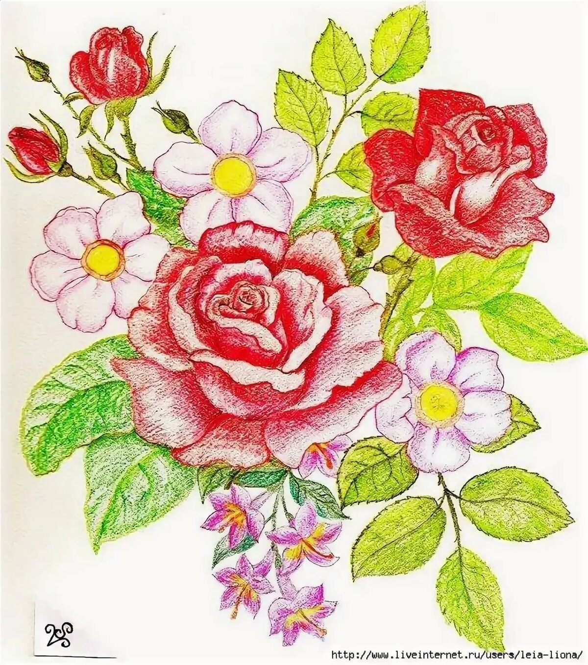 Рисунки цветов