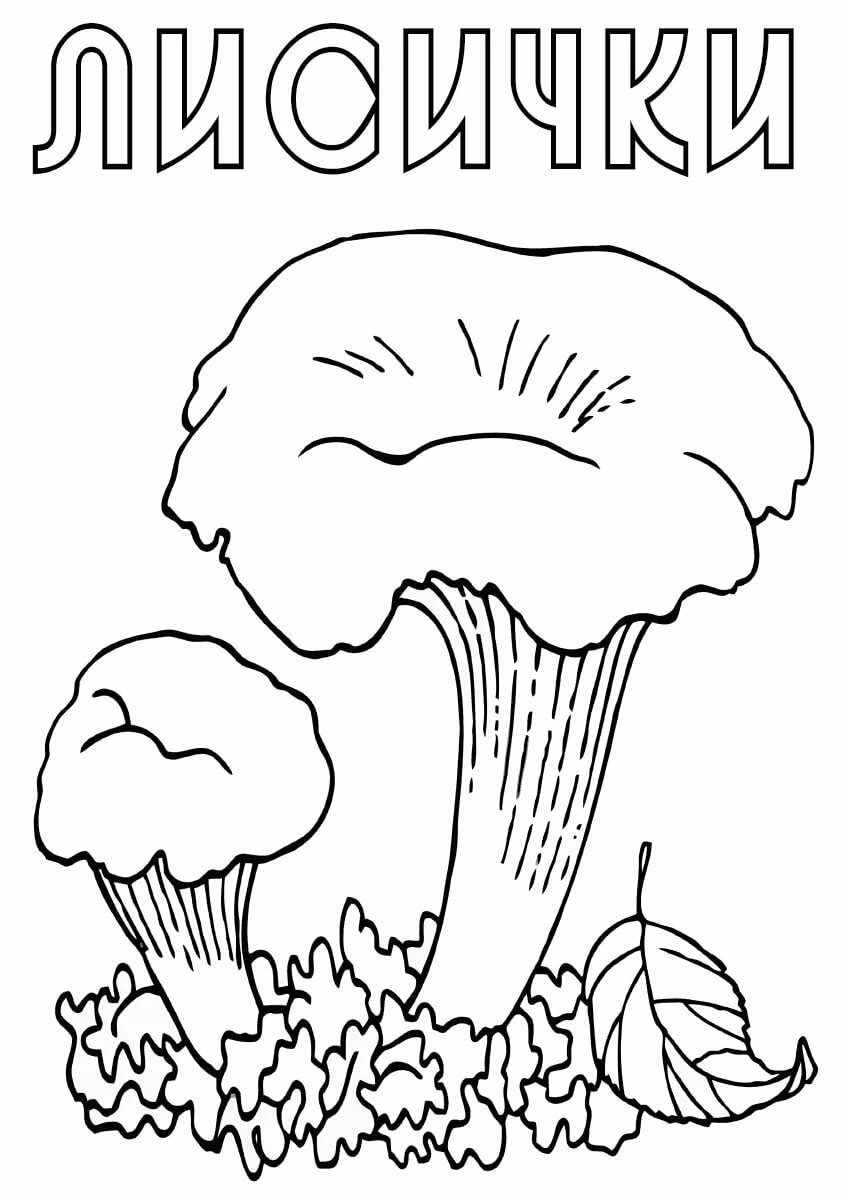 Лисички грибы рисунок карандашом