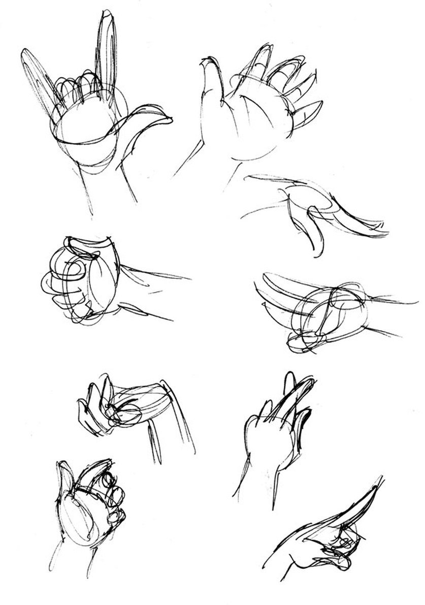 Включи сами начинают руки рисовать. Уроки рисования рук. Анатомия кистей рук для рисования. Этапы рисования рук. Как нарисовать руку.