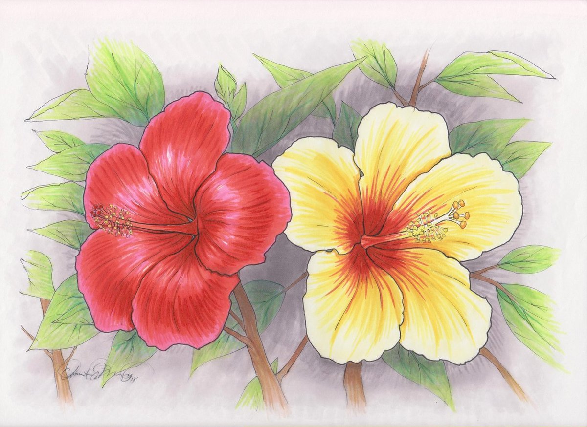 Цветной цветок нарисованный. Цветы цветными карандашами. Цветы рисунок. Рисунки цветов цветными карандашами. Нарисовать цветы.