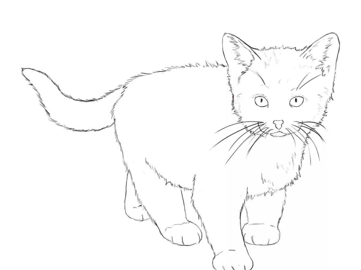 Картинки кошек рисовать. Кот рисунок. Рисунок кошки для срисовки. Кошка рисунок карандашом. Рисунки котов карандашом для срисовки.