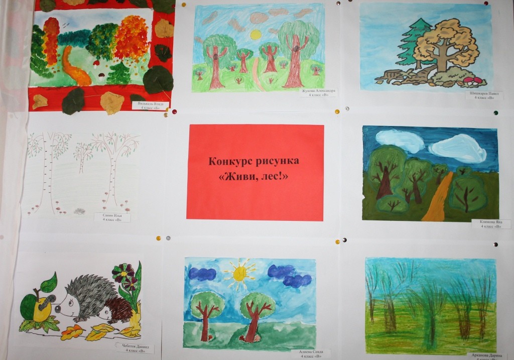 Рисунок на тему лес ваш главный интерес. Рисунок на тему лес наш главный интерес 1 класс. Рисунки детей лес наш главный интерес.