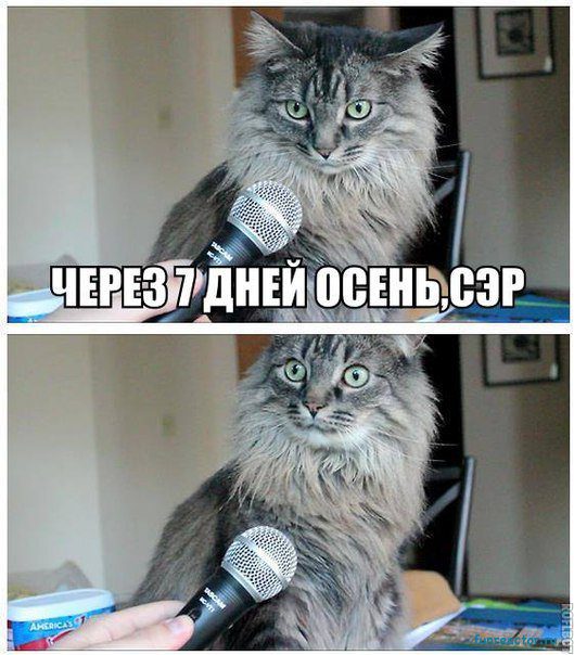 Скоро осень
