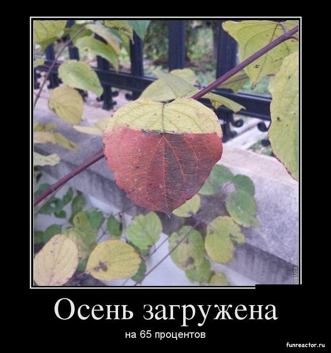 Осень загружена...