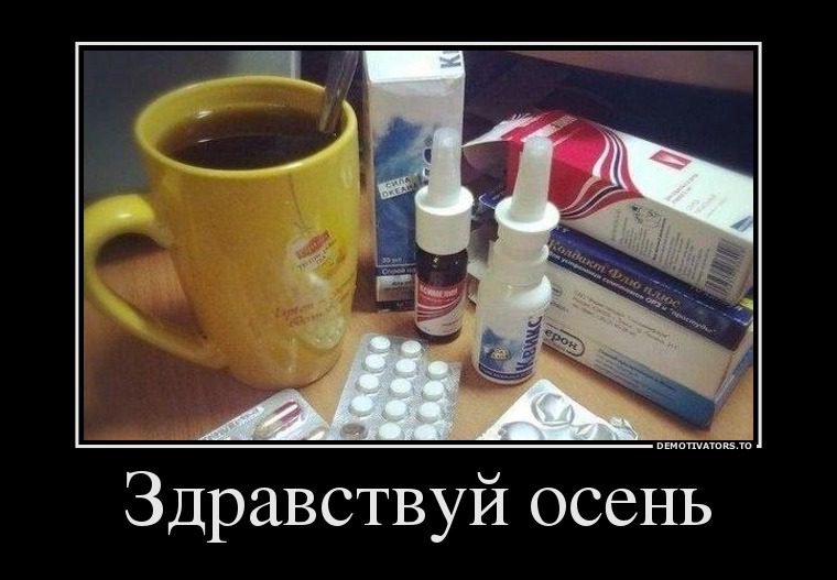 Привед - осень