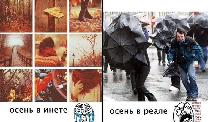осень как она есть