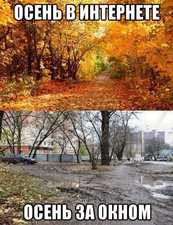 осень в реальности
