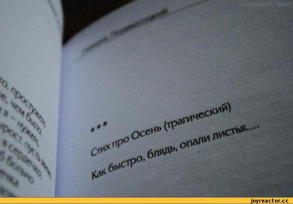 поэт - юбитель