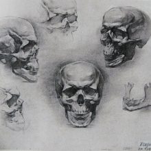 Рисунки черепа карандашом для начинающих (66 фото)