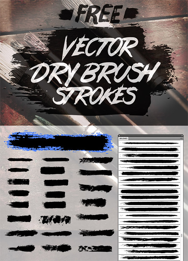 24 Free Vector Dry Brush Stroke Brushes