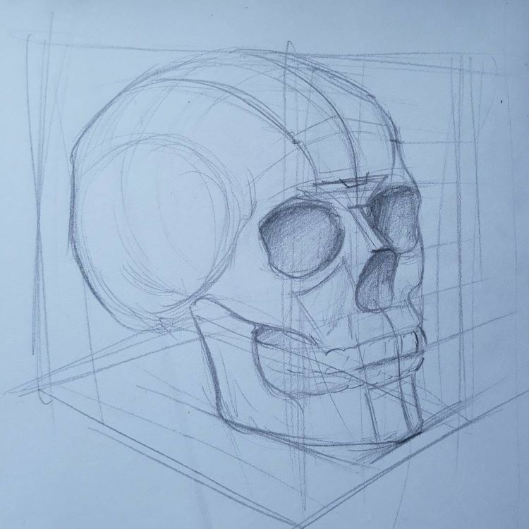 Rough sketch outline of a skull
