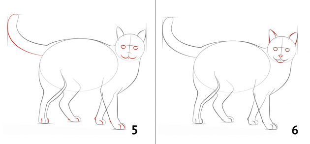 Как нарисовать кошку Как нарисовать кошку