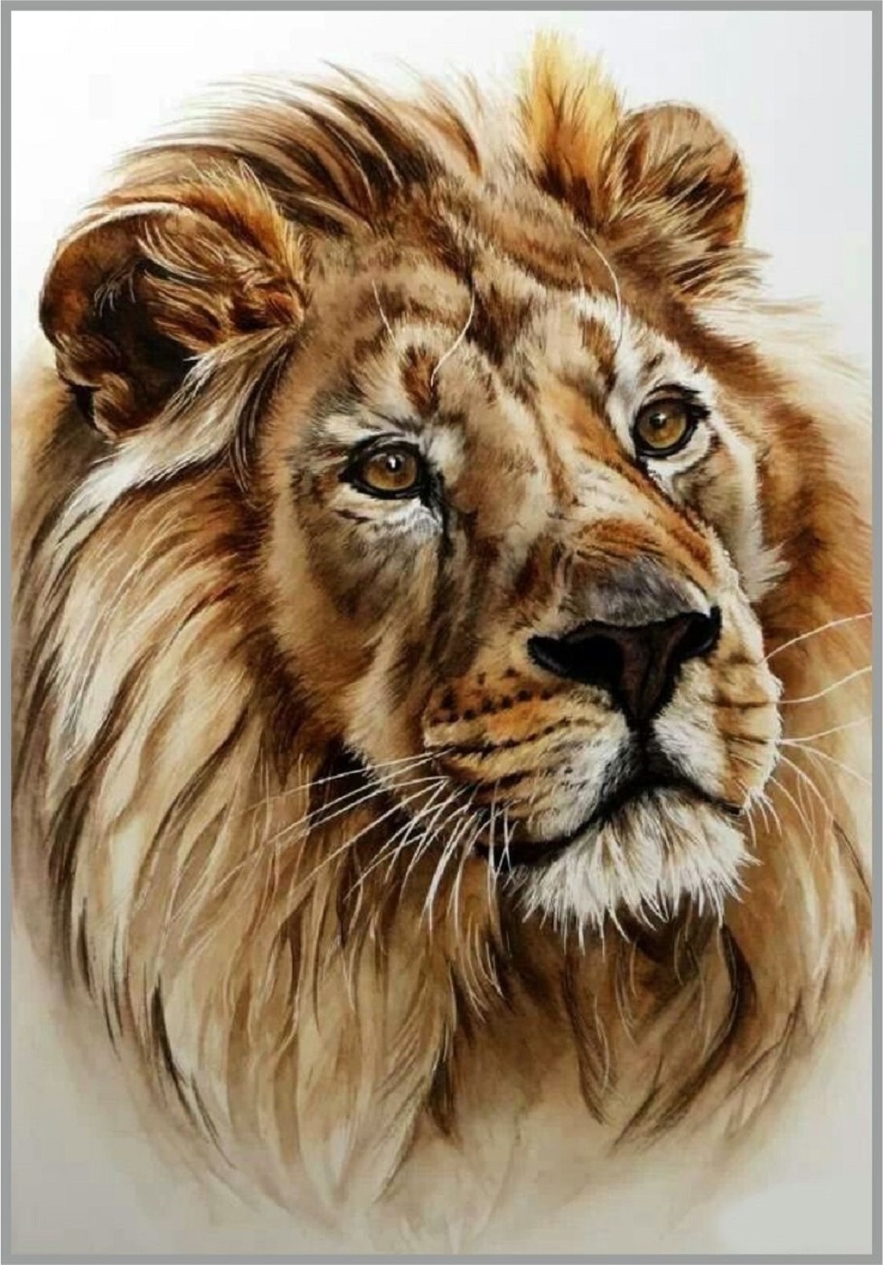 Картинку как картинку льва