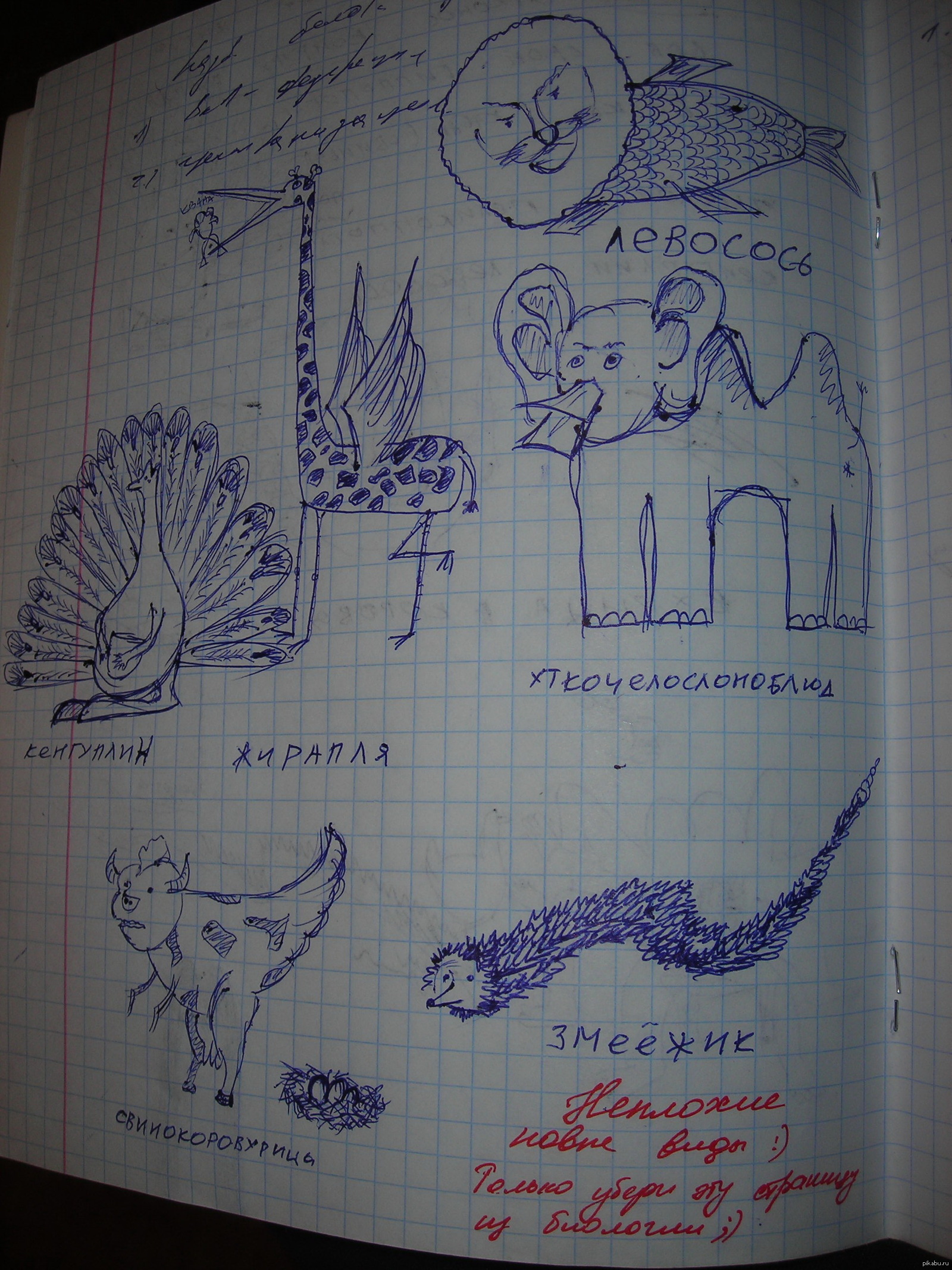 Рисунки в тетрадке на уроке