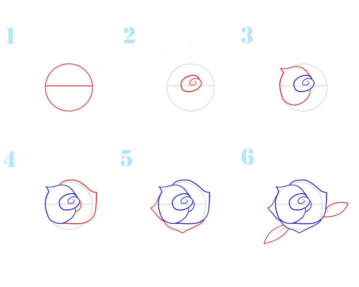 Как рисовать розы пошагово
