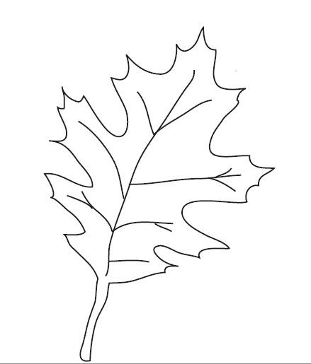 Шаблоны осенних листьев для вырезания из бумаги распечатать   сборка (17 картинок) (15)