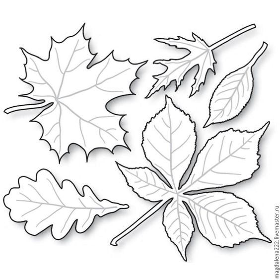 Шаблоны осенних листьев для вырезания из бумаги распечатать   сборка (17 картинок) (16)