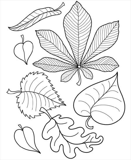Шаблоны осенних листьев для вырезания из бумаги распечатать   сборка (17 картинок) (17)