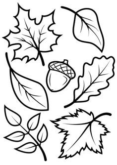 Шаблоны осенних листьев для вырезания из бумаги распечатать   сборка (17 картинок) (6)