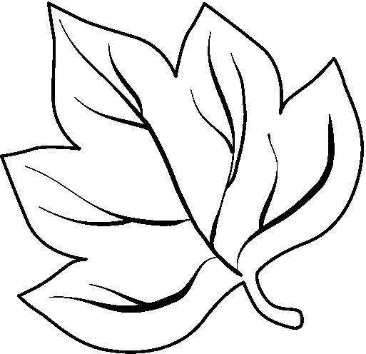 Шаблоны осенних листьев для вырезания из бумаги распечатать   сборка (17 картинок) (9)