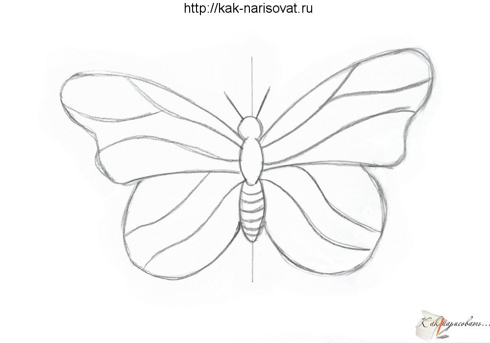 Рисуем бабочку поэтапно презентация 1 класс