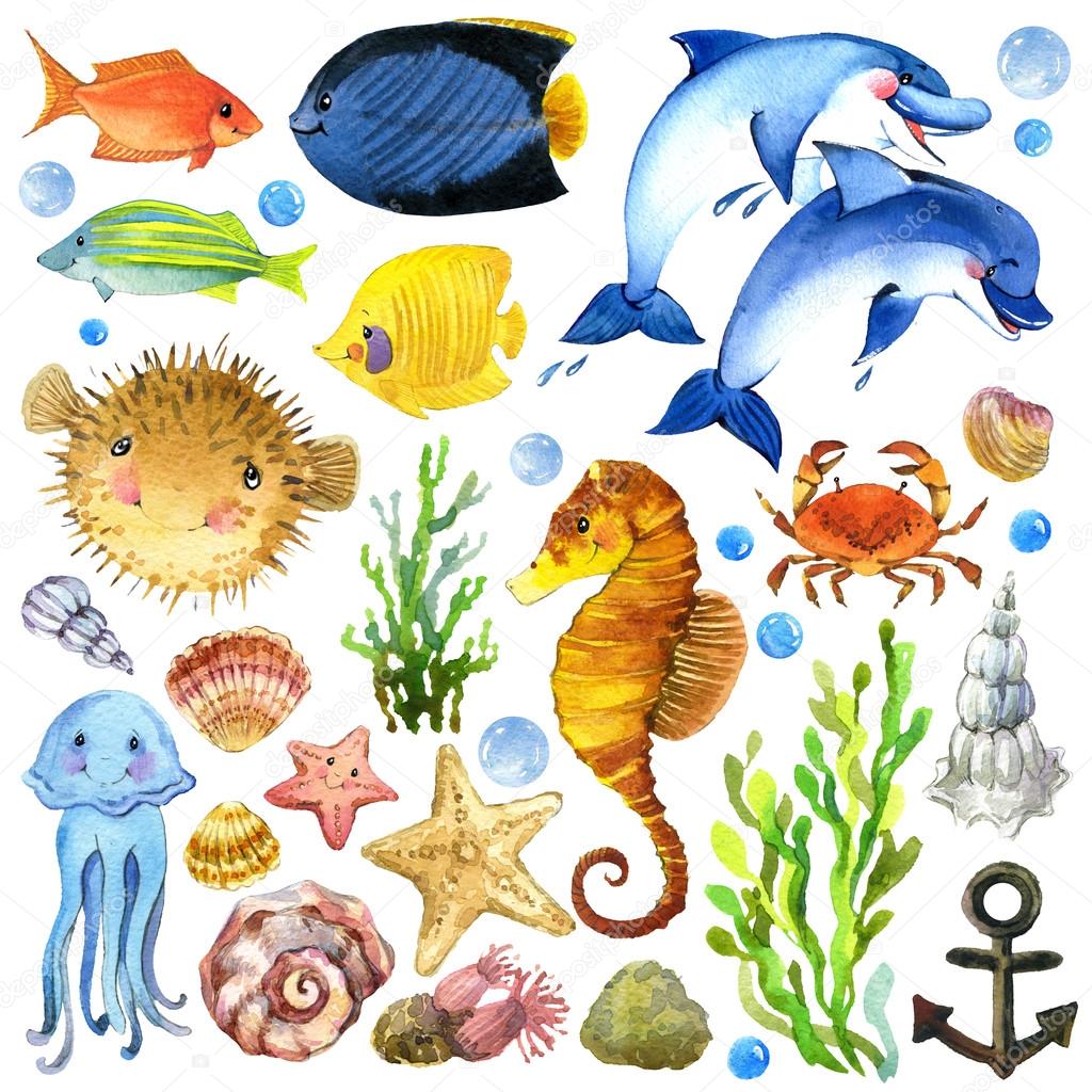 Картинки для детей рыбы для детского сада (12)