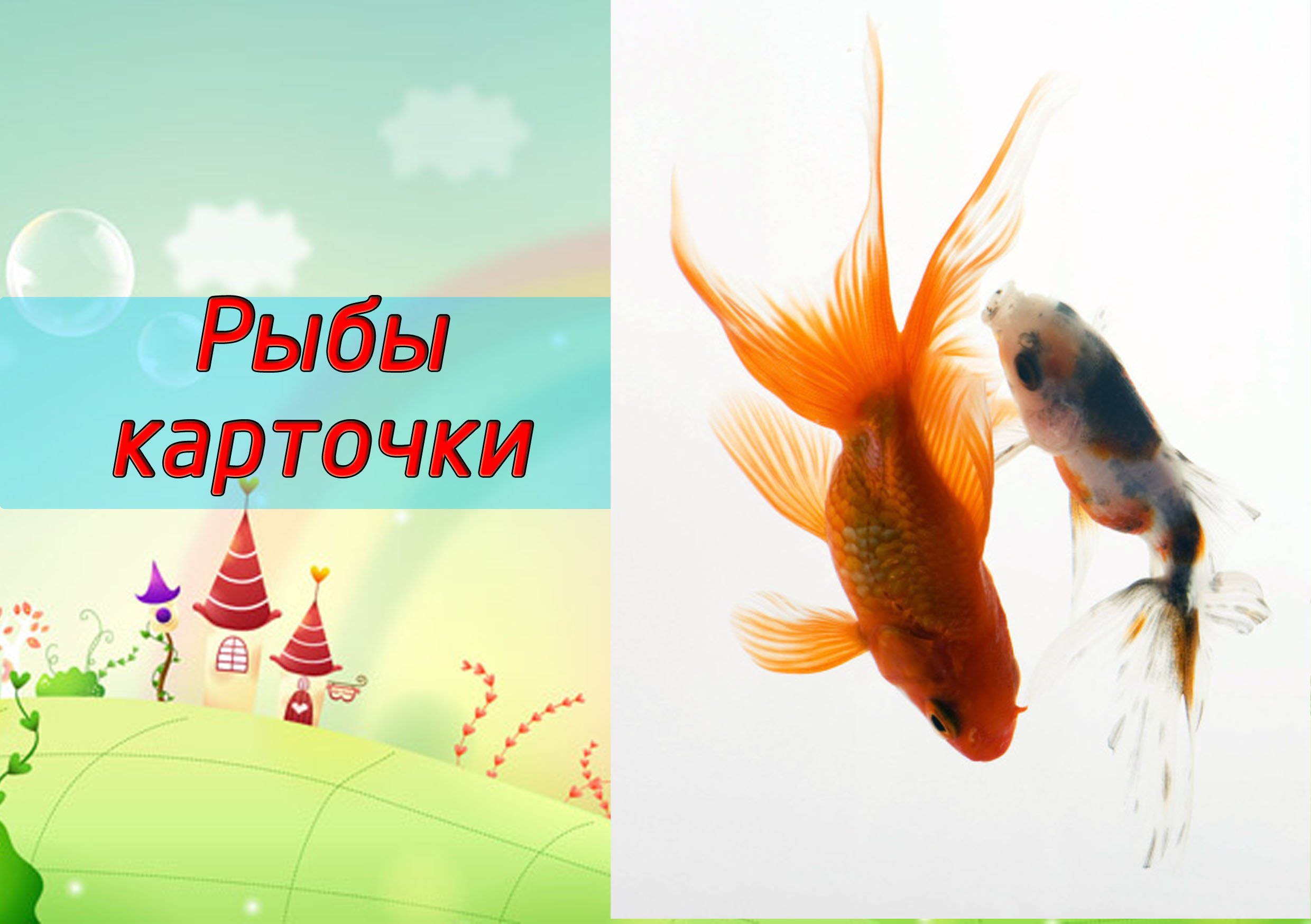 Картинки для детей рыбы для детского сада (19)