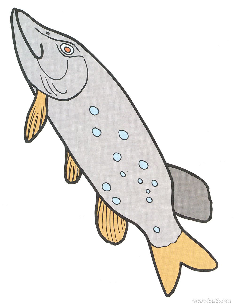 Картинки для детей рыбы для детского сада (8)