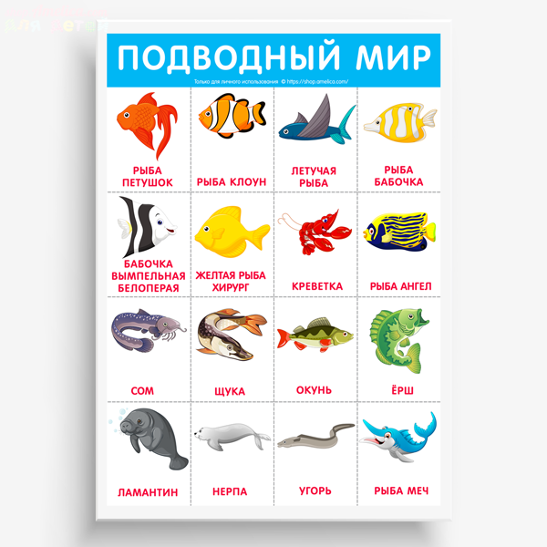Картинки рыбки для детей для детского сада   подборка (13)