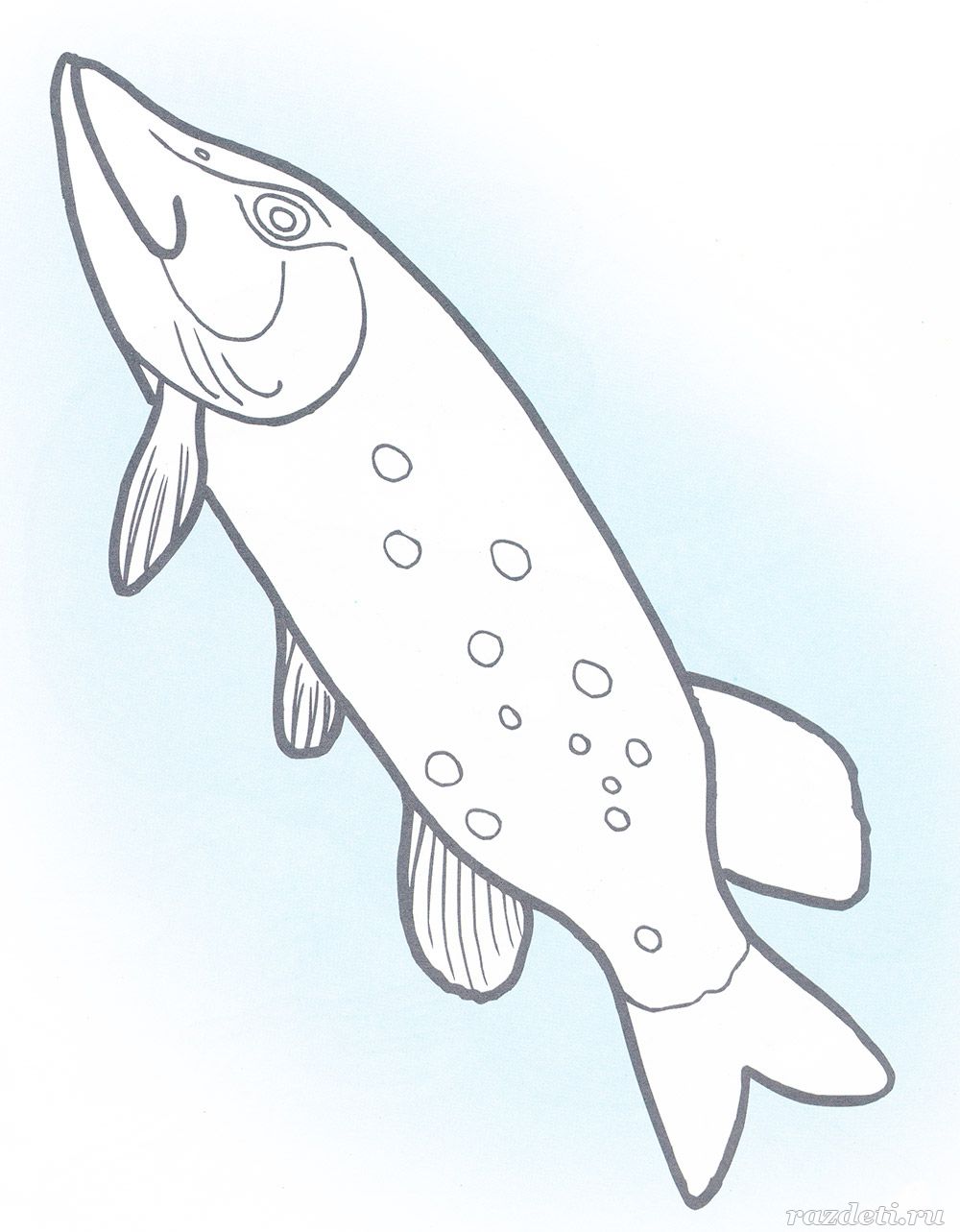 Картинки рыбки для детей для детского сада   подборка (24)