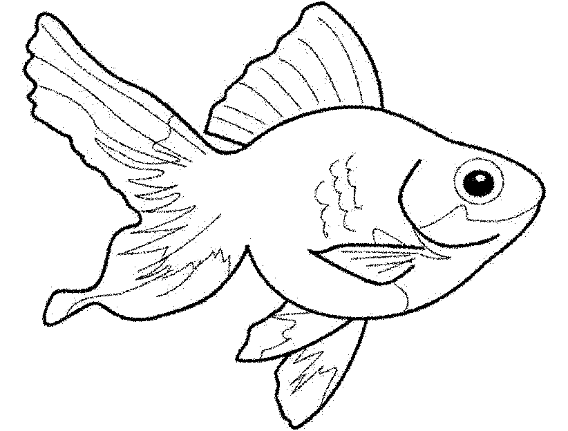 Картинки рыбки для детей для детского сада   подборка (31)