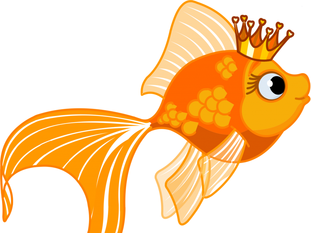 Картинки рыбки для детей для детского сада   подборка (9)