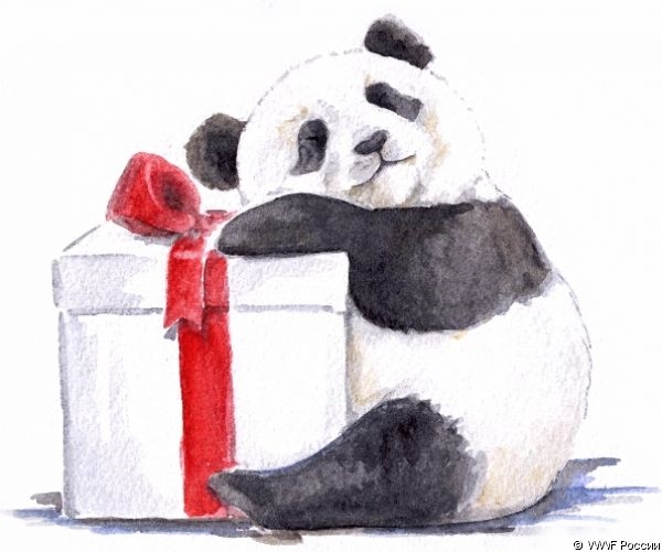 Панда с днем рождения картинка 018