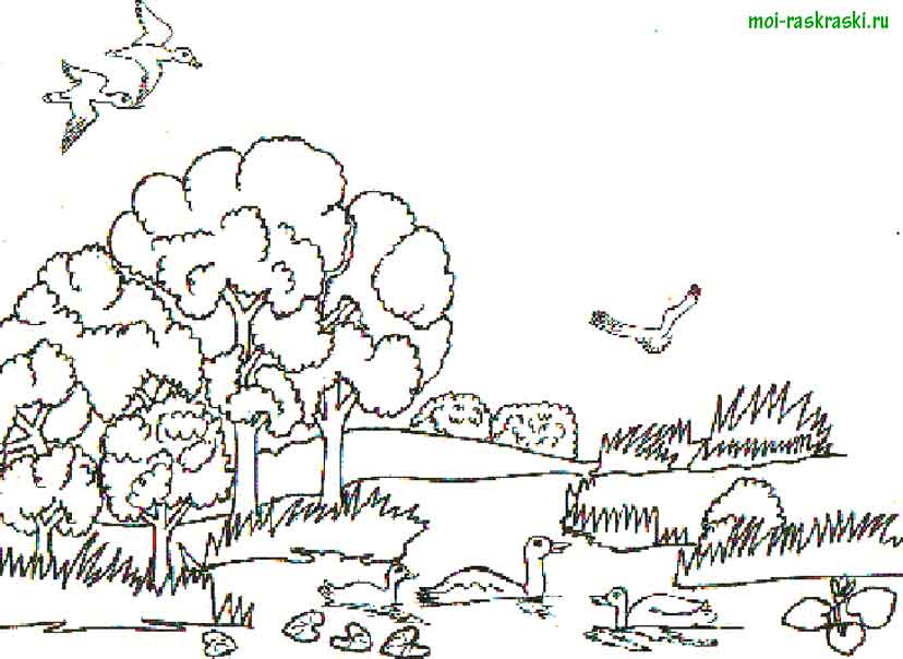 Рисунки на экологическую тему Берегите природу   раскраски (8)