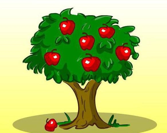 Яблоня с яблоками рисунок для детей 001